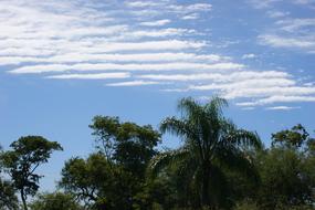 Sky Clouds and Jungle in Paraguay