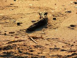 wood on sand