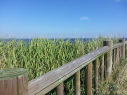 hiking trail on Jeju Island