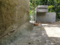 stone wall, shadow from the light