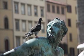 Bronze statue of the person, with the colorful, cute and beautiful pigeon, near the buildings
