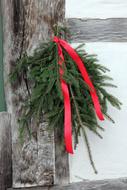 Cloe-up of the beautiful, green Christmas fir tree branches with red ribbon, on the building