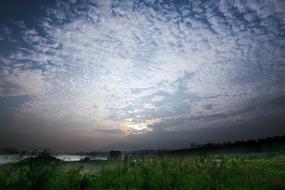 white clouds over a field with green grass