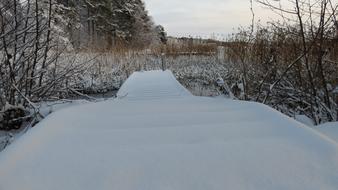 Beautiful, snowy landscape of he pier, among the plants, in the winter