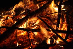 Close-up of the colorful, burning campfire with wood, among the darkness, at the night