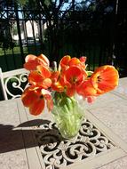 Colorful Golden Tulips on table