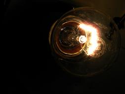 Black Strand Lamp