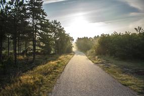 Bike Path Morning Sun