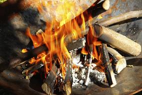Fire Wood Heat burning