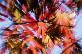 colorful autumn in blurred background