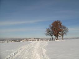 Winter Snowy Snow