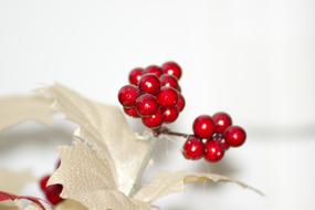 plastic berries as decoration
