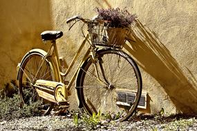 Bike Bicycle with flowers