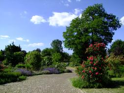 Botanical Garden DÃ¼sseldorf