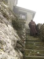 Franciscan Monk Verna