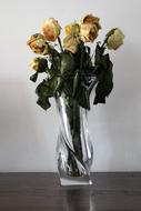 Close-up of the beautiful and colorful flowers with green leaves, in the vase with water