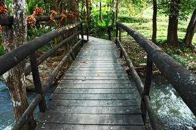 wooden bridge in the park in Samoeng