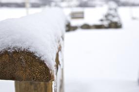 snow on log in winter blurred landscape