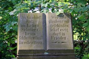 Old tombstone with the book, among the plants with green leaves