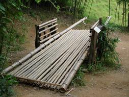 bamboo Bench Dead Rock