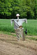 Scarecrow Agriculture Country Life