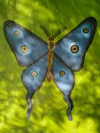 drawing of a blue butterfly on a green surface