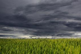 Storm Clouds at Summer