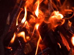 Close-up of the colorful, burning, bright fire with firewood, among the darkness
