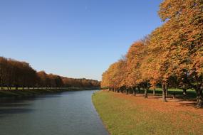 Autumn Fall Foliage Golden