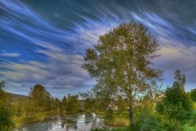 forest Norway and Clouds