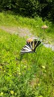 Butterfly and green Flower