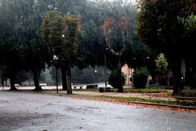 park at Rain Water