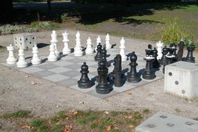 white and black chess pieces in the park