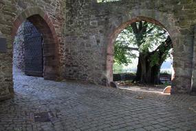 historic Goal By Looking Tree