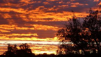 Beautiful landscape with silhouettes of the plants, at colorful and beautiful sunrise in clouds