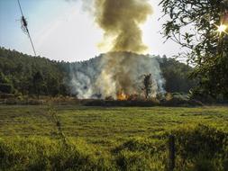 bonfire with smoke in a forest glade on a sunny day