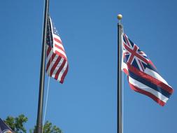 flags on flagpoles in hawaii