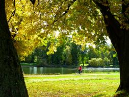 Autumn Water Danube