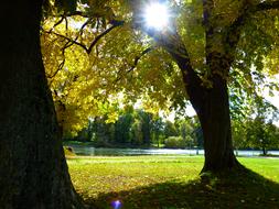 Autumn Danube park