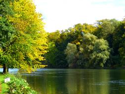 Autumn Mood Danube forest