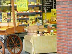 Delicious Cheese Shop in Holland