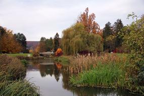 Bridge over Lake Water at autumn