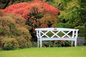 Beautiful landscape with the white bench near the colorful plants, in the autumn