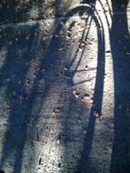 Bike Shadow on pavement at fall