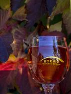glass of wine as a still life