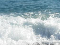 foamy sea wave on a sunny day close up