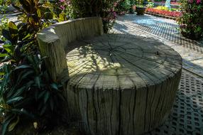 Seat wood Log