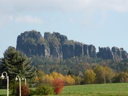 trees near rocks in switzerland