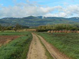 landscape of Field Path Outdoor