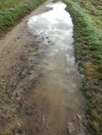 wet and dirty Path